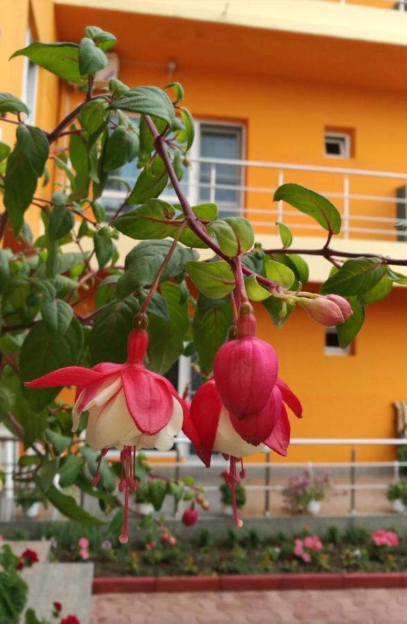 Vila Oranj Hotel Costinesti Luaran gambar